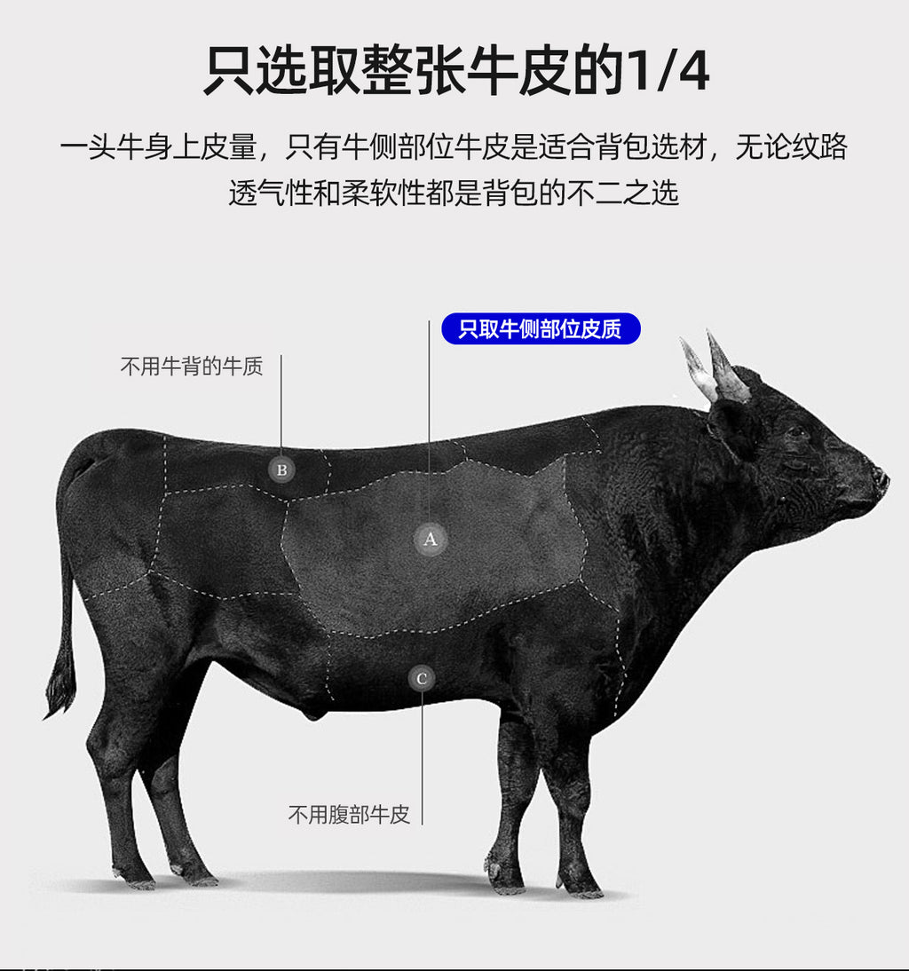 20266 Fashion Backpack